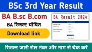 Bsc 3rd year Result 2024: (बीएससी तृतीय वर्ष का परिणाम जारी) बीएससी फाइनल ईयर रिजल्ट जल्दी यहां से चेक करें