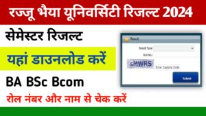 Rajju Bhaiya University Result 2024: (जारी किया) Result check prsuniv.ac.in BA, B.Sc, B.Com Semester Exam Result